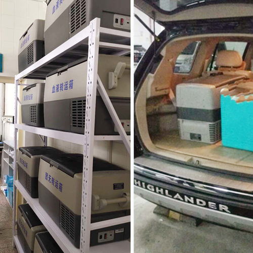 醫療科研專用汽車轉運醫用運輸箱 安全、精準、高效的樣本保障方案